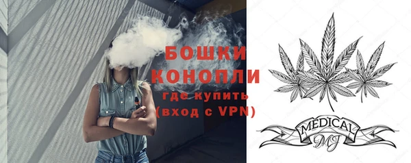 стаф Волоколамск